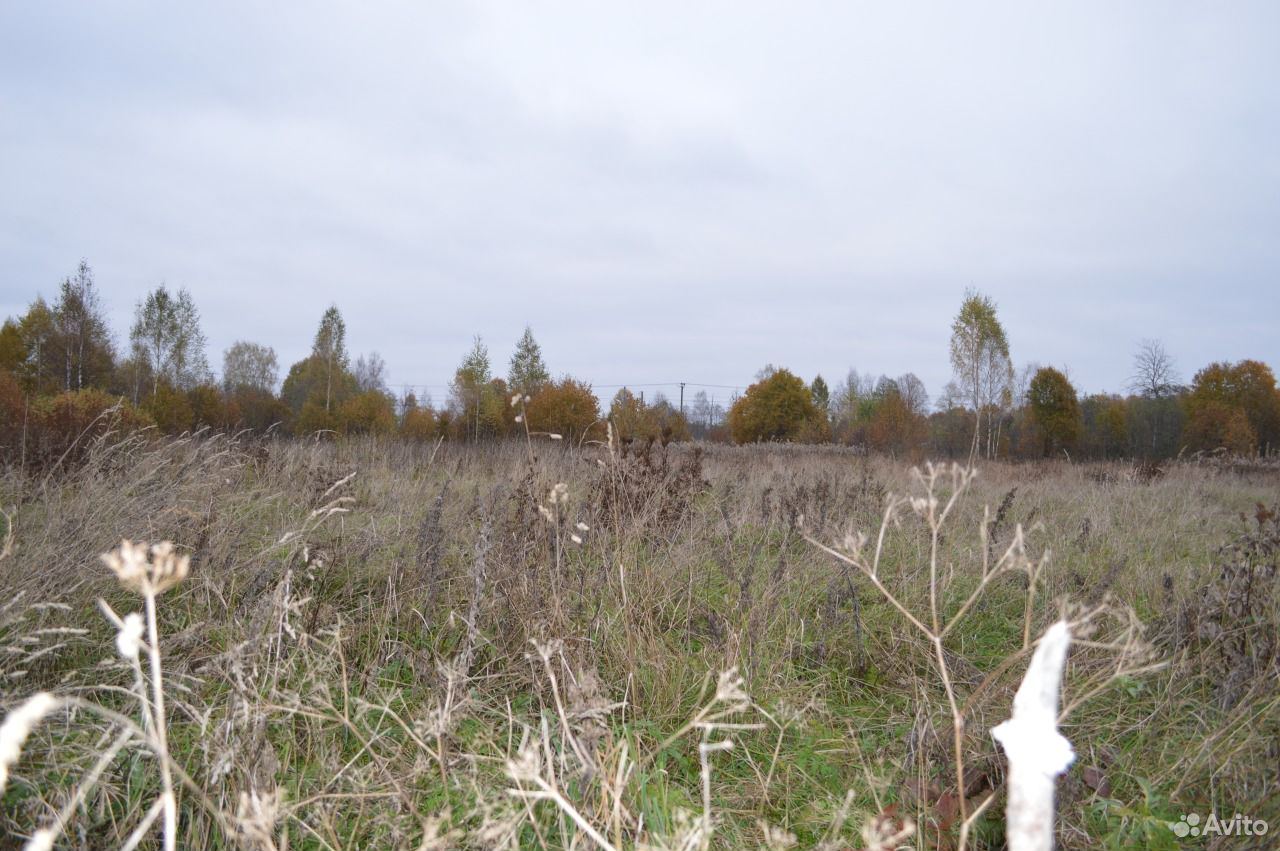 Купить В Чудово Новгородской Области