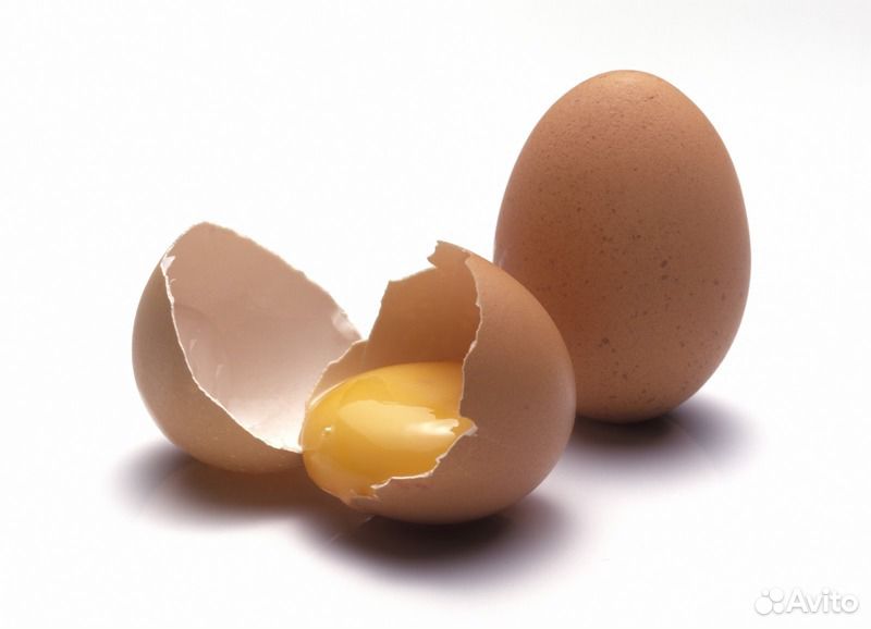 Куриные, Страусиные "эму" - яйца на еду купить на Зозу.ру - фотография № 5