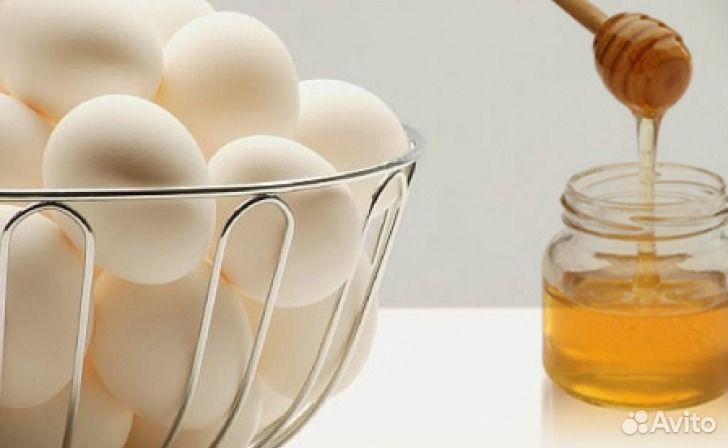 Продаю мед и яйца с личного хозяйства купить на Зозу.ру - фотография № 1