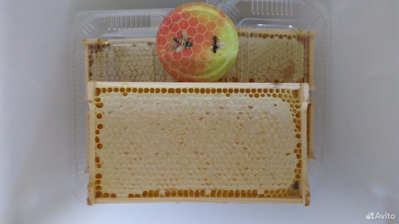 Мёд натуральный мед купить на Зозу.ру - фотография № 5
