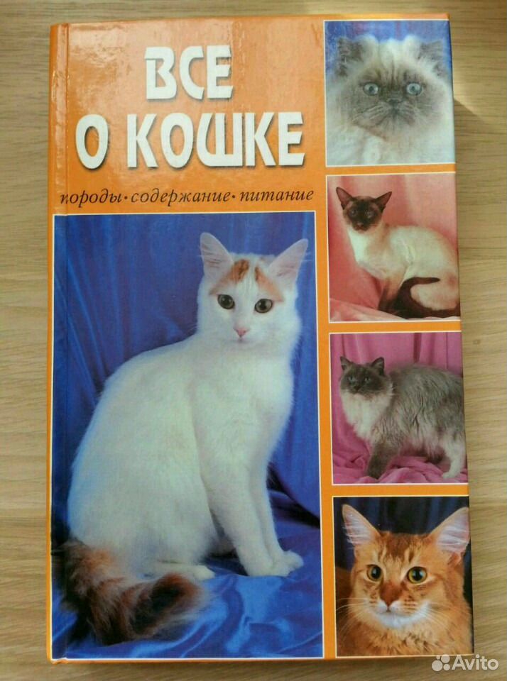 Породы содержание. Ваша кошка популярная энциклопедия. Книга о питании кошек. Дазидова ваша кошка. Обложка книги все о кошке породы содержание питание.