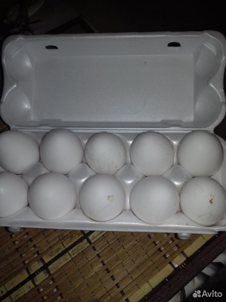 Продам яйца от домашних курочек купить на Зозу.ру - фотография № 1
