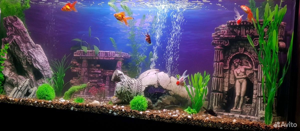 Декорации для большого аквариума купить на Зозу.ру - фотография № 9