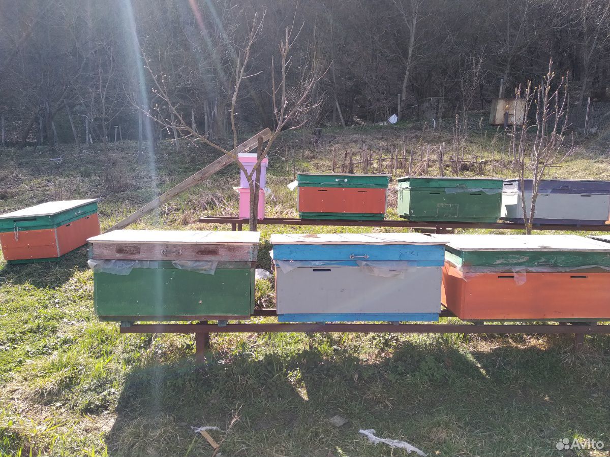 Ящики для пчел купить на Зозу.ру - фотография № 3