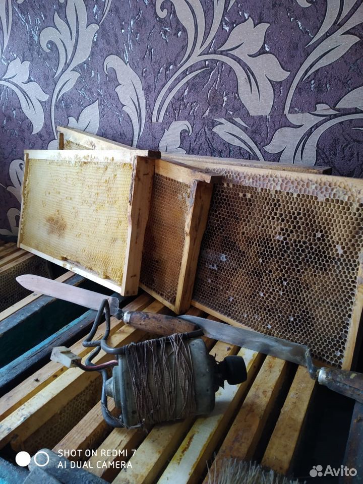 Пчеловодческий инвентарь купить на Зозу.ру - фотография № 2