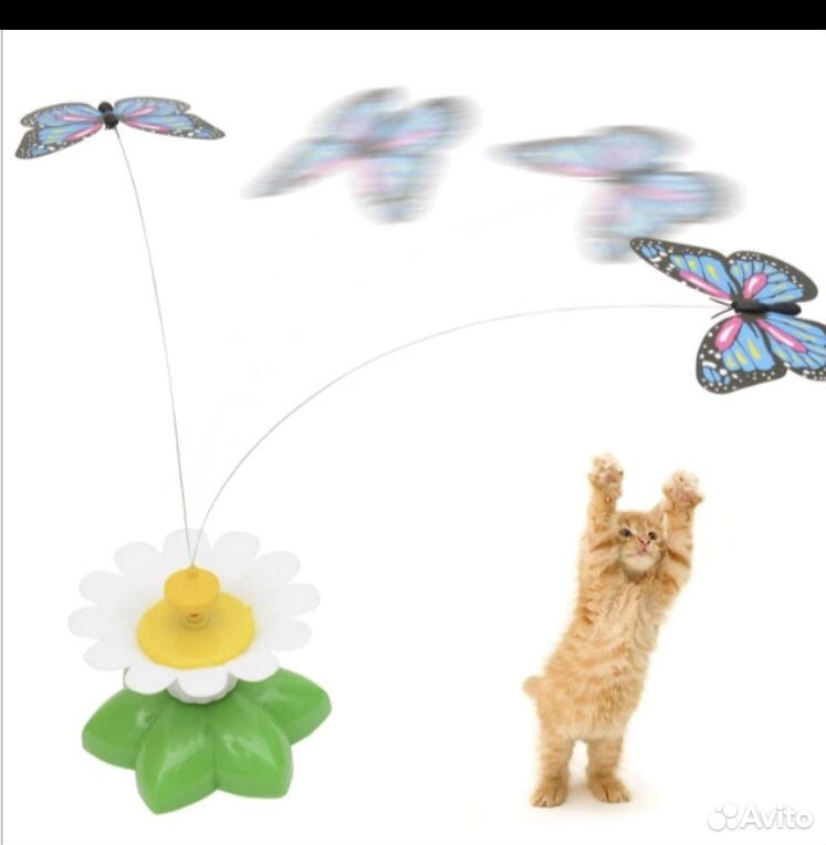 Игрушка «летающая бабочка»для игривых кошек купить на Зозу.ру - фотография № 1