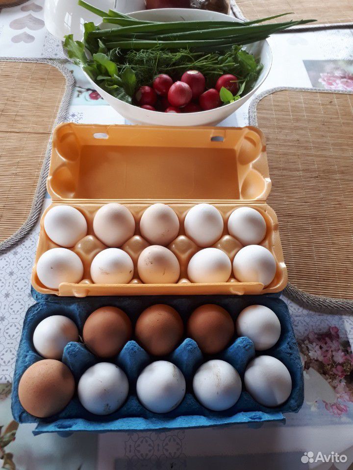 Домашнее яйцо купить на Зозу.ру - фотография № 1