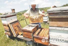 Улья для пчел купить на Зозу.ру - фотография № 1