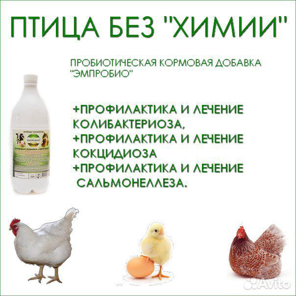 Эмпробио кормовая добавка купить на Зозу.ру - фотография № 2