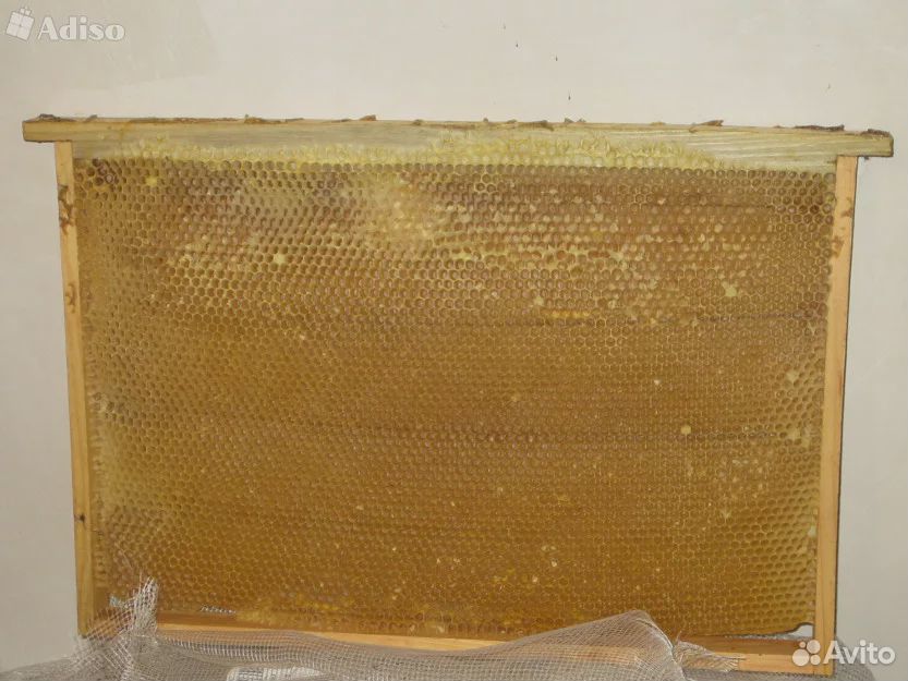 Продается пчеловодная сушь купить на Зозу.ру - фотография № 1