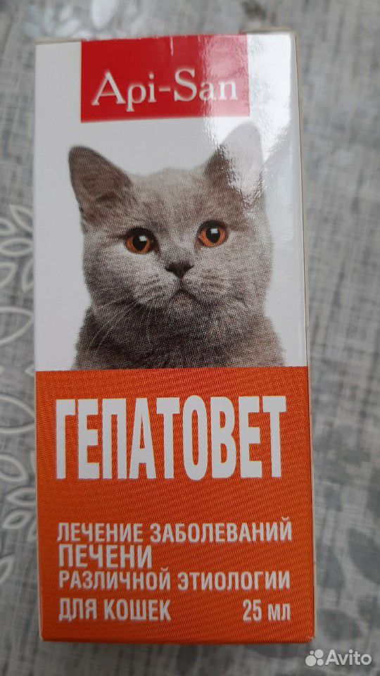 Лекарство для кошек, Гепатовет купить на Зозу.ру - фотография № 1