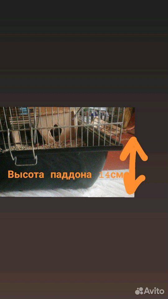 Клетка для грызунов и птиц купить на Зозу.ру - фотография № 3