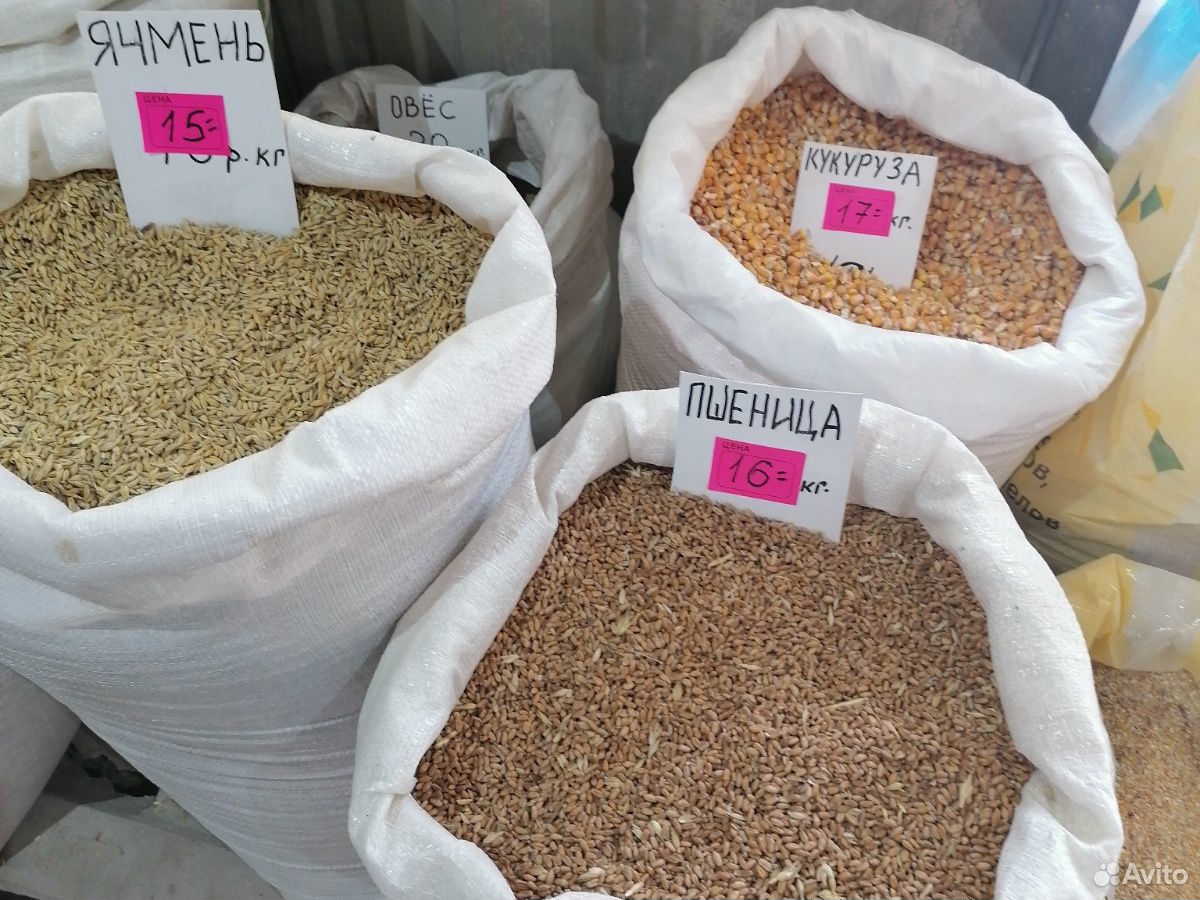 Комбикорм пшеница купить на Зозу.ру - фотография № 1