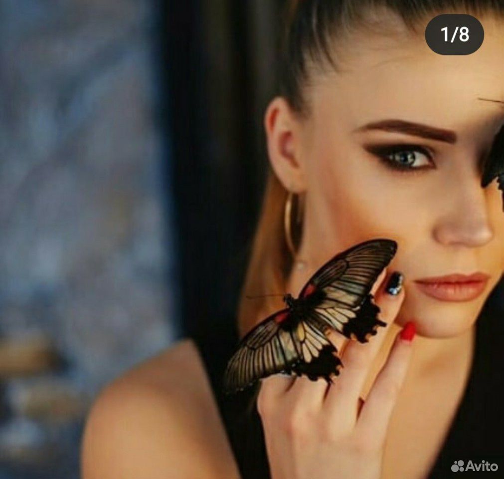 Шикарные тропические бабочки купить на Зозу.ру - фотография № 1