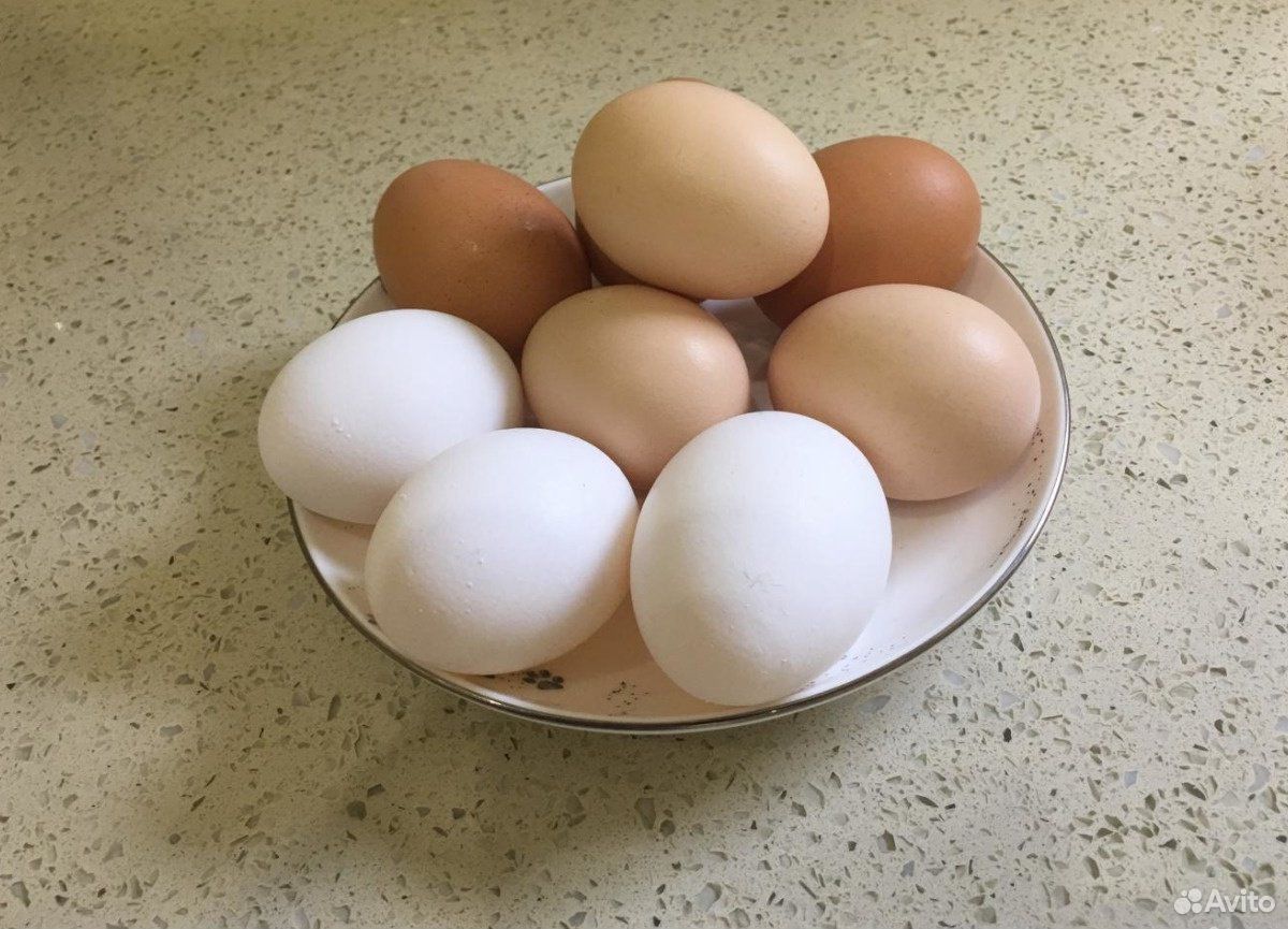 Купить яйца кур на авито. Hub 1007011 яйцо инкубационное. Яйцо куриное. Домашние яйца. Яйца кур.