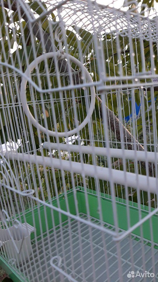 Клетка для попугаев попугайчиков попугая купить на Зозу.ру - фотография № 3