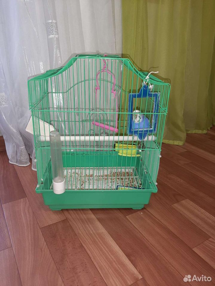 Клетка с попугаем купить на Зозу.ру - фотография № 2