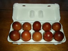 Инкубационные яйцо кур породы Маран