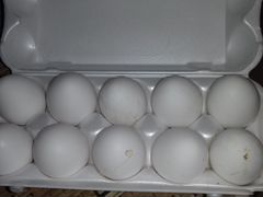 Продам яйца от домашних курочек