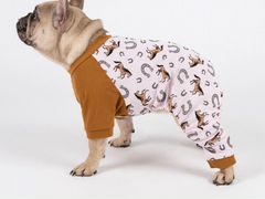 Одежда шлейки лежанки ошейники поводки для собак