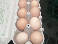 Яйца домашнии