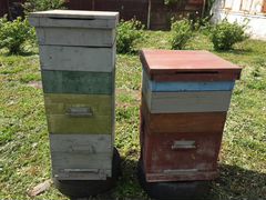 Ульи для пчёл и прочий инвентарь