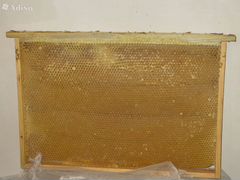 Продается пчеловодная сушь