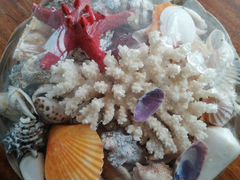 Корзина кораллов и ракушек