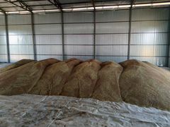 Продаю зерно пшеницы и ячменя урожай 2020 с дост