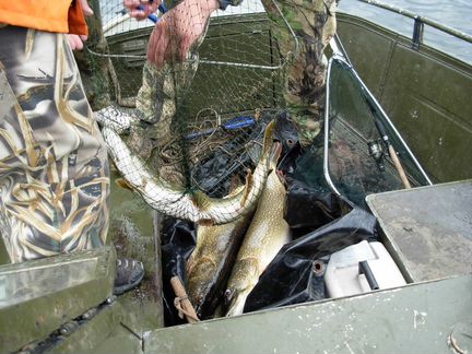 Охота и рыбалка в Камызяке
