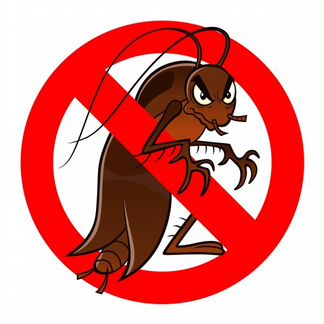 Уничтожение клопов, тараканов и других насекомых