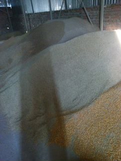 Ячмень пшеница комбикорм кукуруза