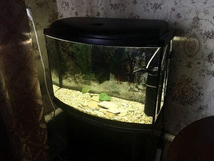 Продам аквариум 75 литров