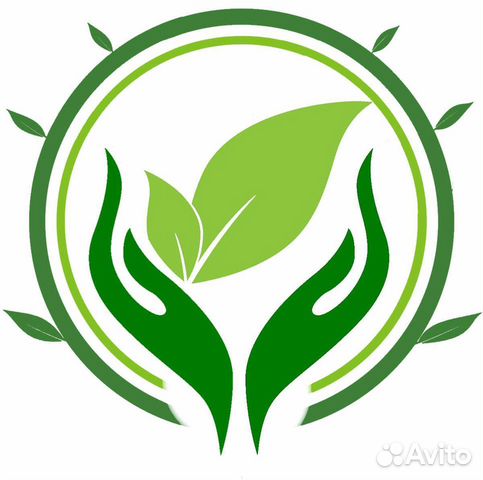 Живой корм для ящериц, рыб, муравьев. Жук знахарь