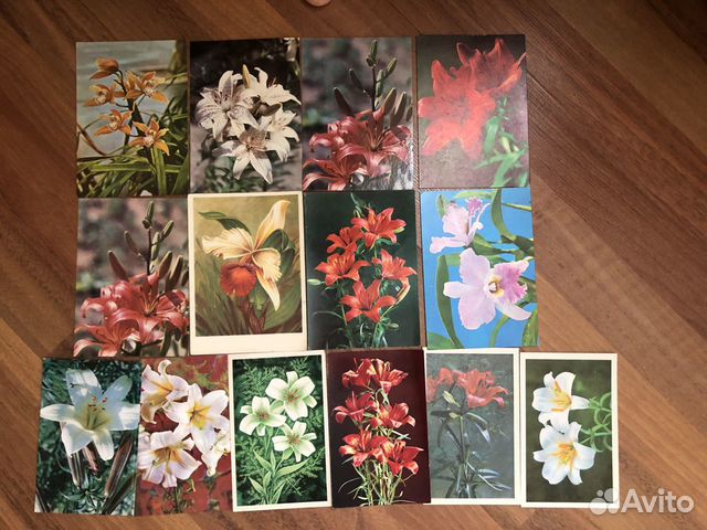 Открытки СССР цветы