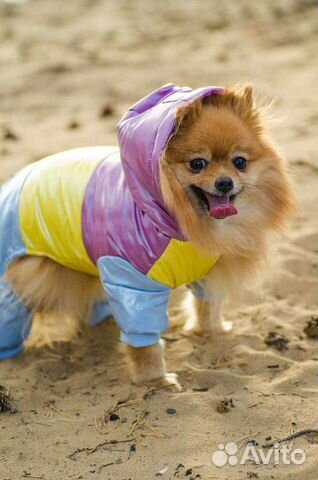 Одежда для собак кошек дождевик толстовка новый