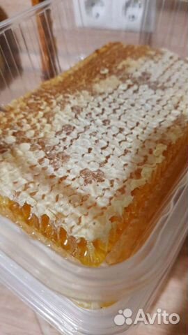 Мëд в сотах