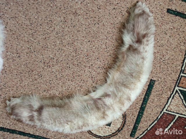 Песцовый воротник - горжетка