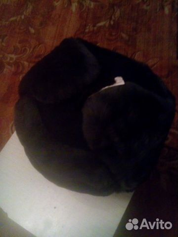 Шапка зимняя уставная синяя фсин