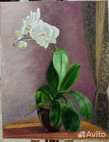Орхидея, холст на картоне/ масло