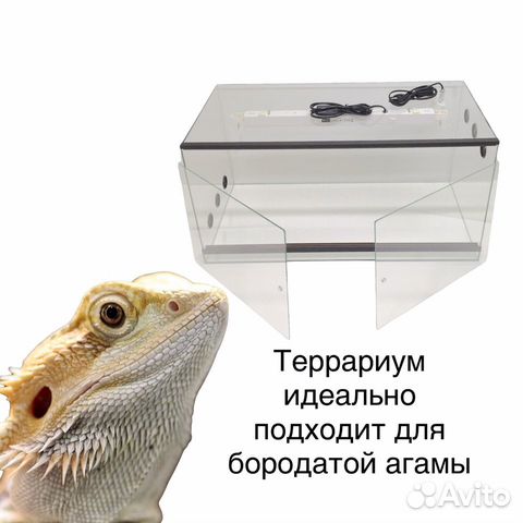 Террариум для бородатой агамы д80ш40в40 / змеи