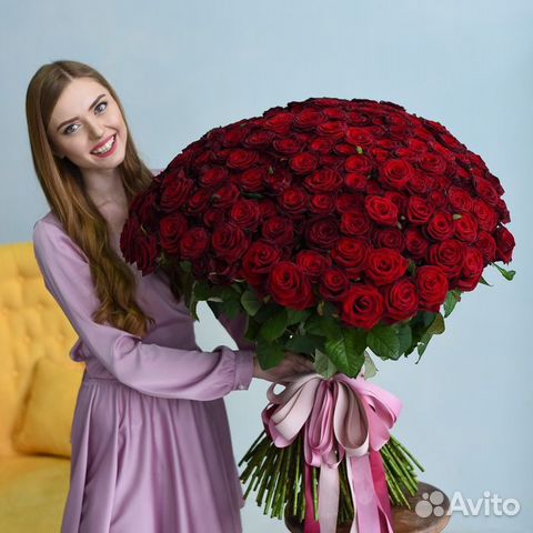 101 роза Эквадор premium