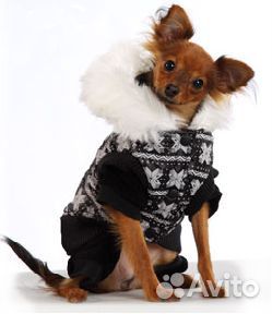 Зимняя одежда для собак купить на Зозу.ру - фотография № 6