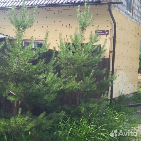 

2-к. дом, 57 м²