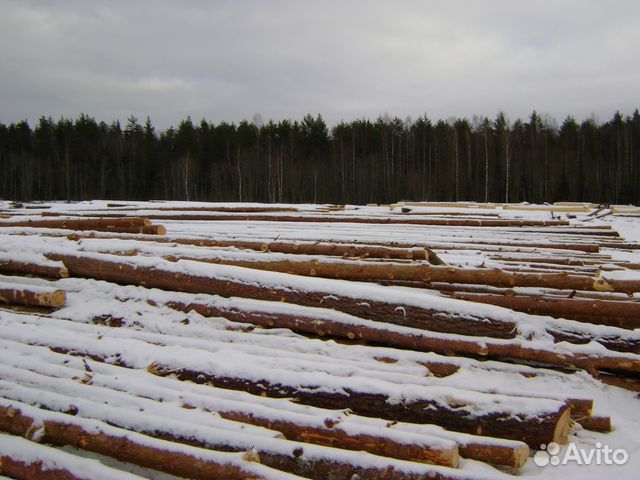 Сруб дачного дома 5х6 + 2м (терраса)