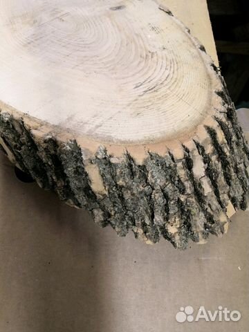 Косой спил ясеня Косой спил ясеня