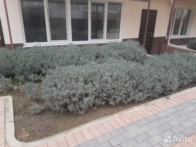 1-к квартира, 80 м², 1/5 эт. 1-к квартира, 80 м², 1/5 эт.