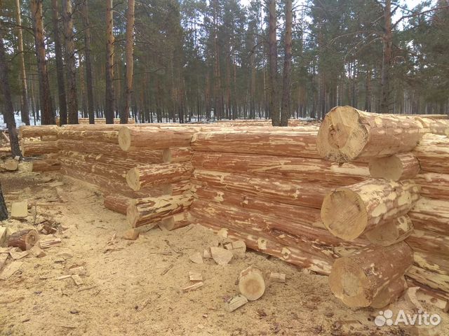 Срубы домов и бань Срубы домов и бань