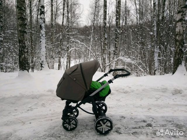 Коляска baby design husky 2018