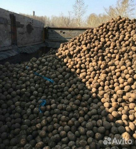 Мелкий картофель купить на Зозу.ру - фотография № 1